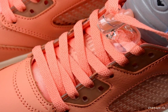 Best Bliss DV4982-641 Retro 5 The Crimson Jordan We DV4982-641 DJ Khaled 0713